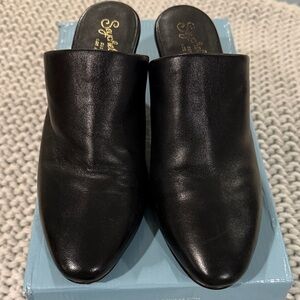 Seychelles Black Leather Mules